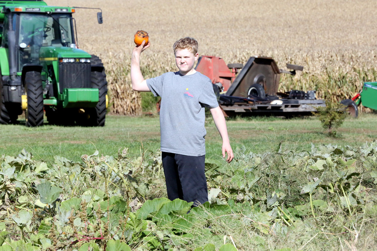 St Joseph Pumpkin Patch (30).jpg